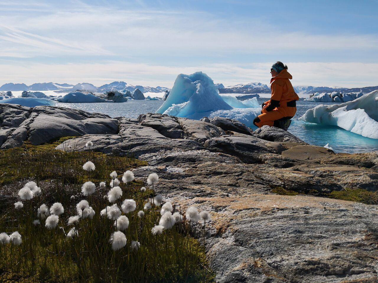 Support & Warranty Assistance